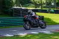 cadwell-no-limits-trackday;cadwell-park;cadwell-park-photographs;cadwell-trackday-photographs;enduro-digital-images;event-digital-images;eventdigitalimages;no-limits-trackdays;peter-wileman-photography;racing-digital-images;trackday-digital-images;trackday-photos